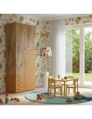 L.105 H.257,8 - Armoire...