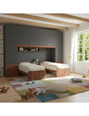 Dormitorio puente con camas...